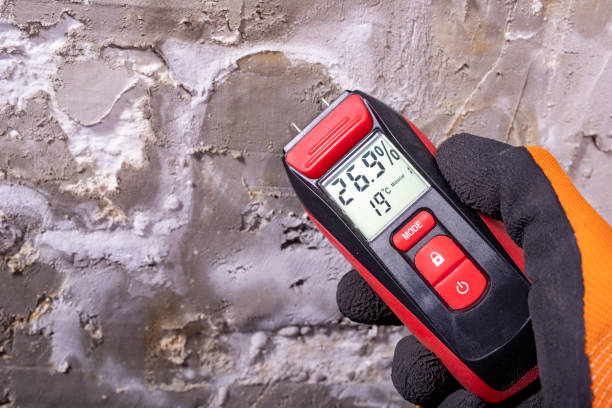 Best Certified Mold Removal  in Cherryvale, KS